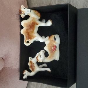 Vintage Camel Collection